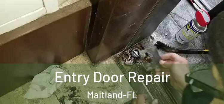  Entry Door Repair Maitland-FL