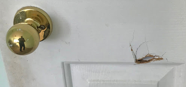 interior door hole repair Maitland
