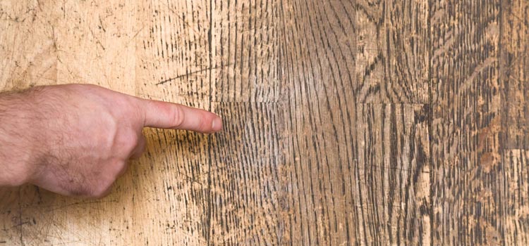 Wood Door Scratch Repair in Maitland